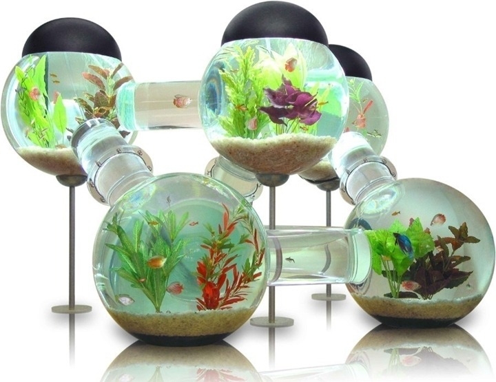 аквариум дома