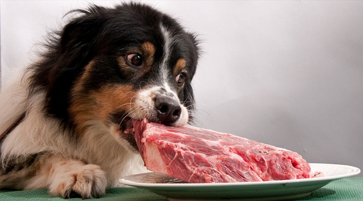 каким мясом кормить собаку