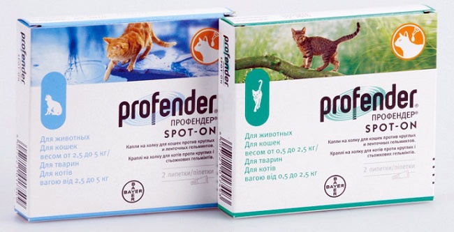 глистогонные препараты для котят