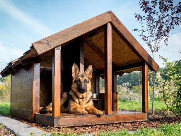построить будку для собаки своими руками