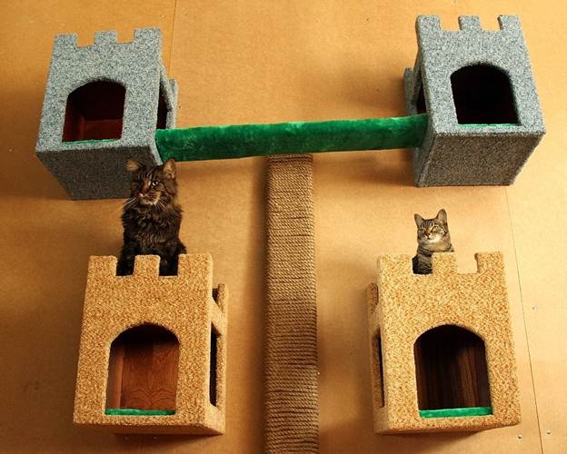 сделать домик для кошки из коробки