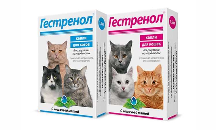 препараты для кошек от течки