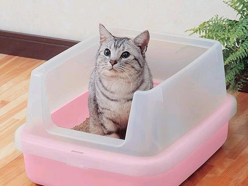 японский наполнитель для кошачьего туалета