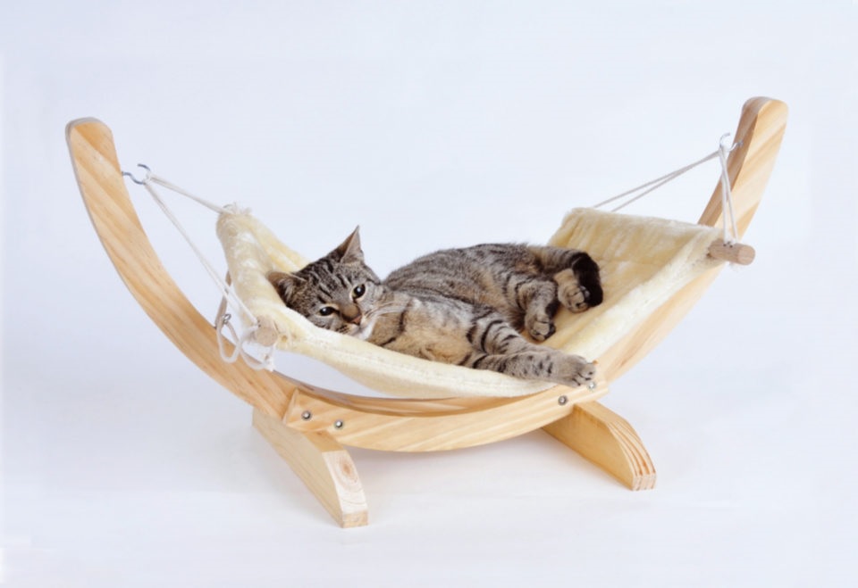 Гамак для кошки: на пике комфорта