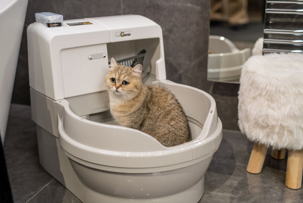 Автоматический биотуалет для кота