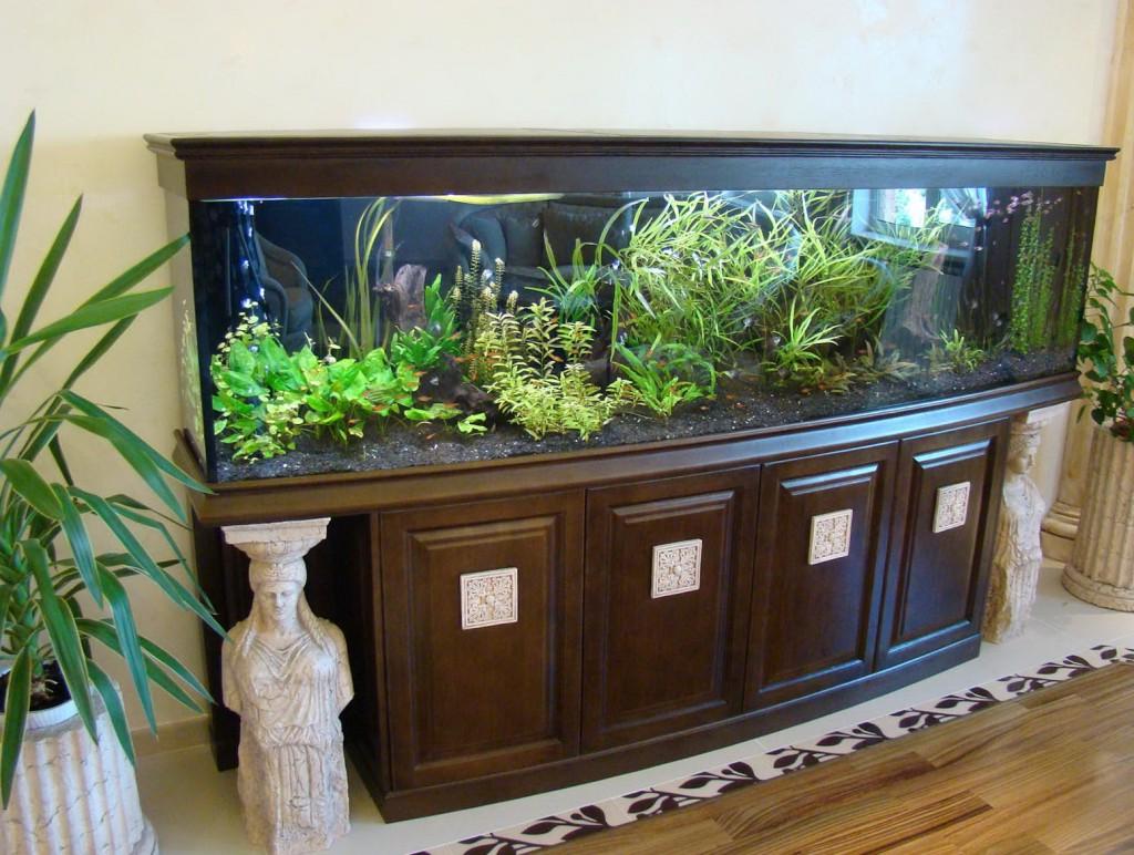 выбрать аквариум для рыбок