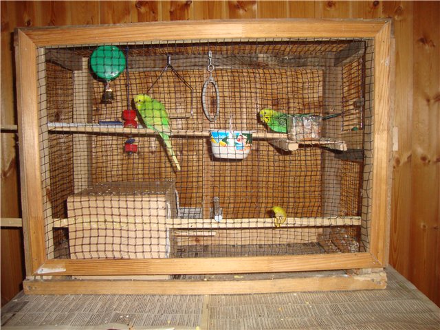 гнездо для попугаев волнистых