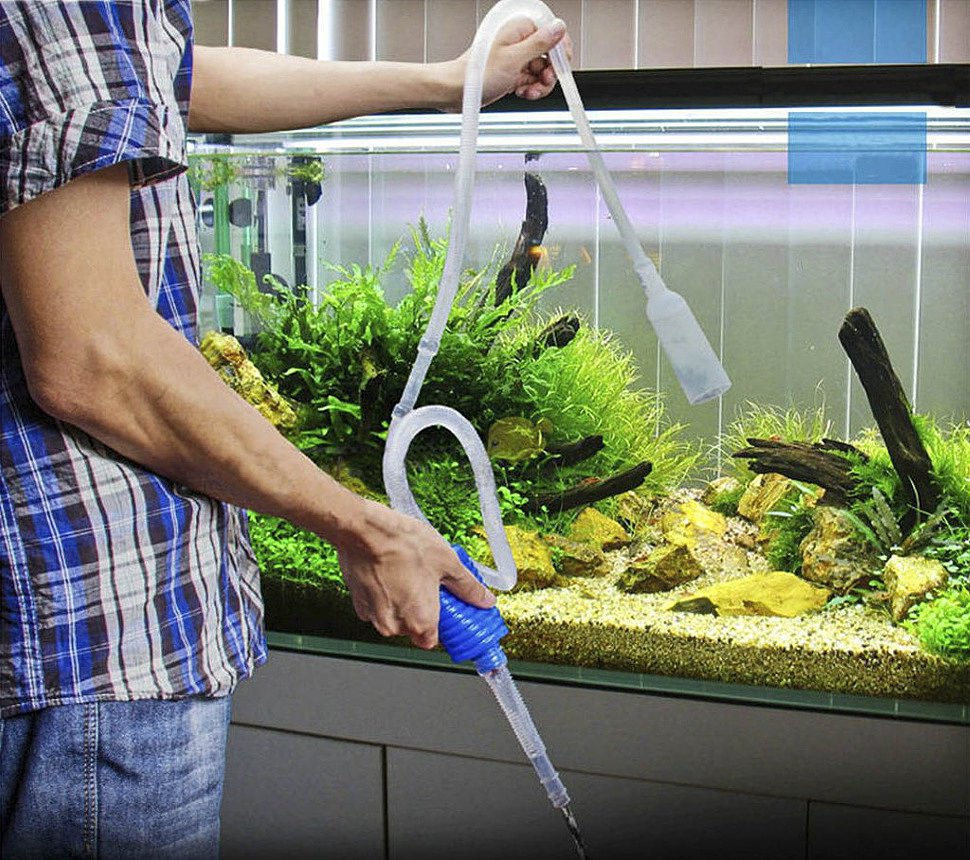 Как чистить аквариум в домашних условиях правильно и как часто ...